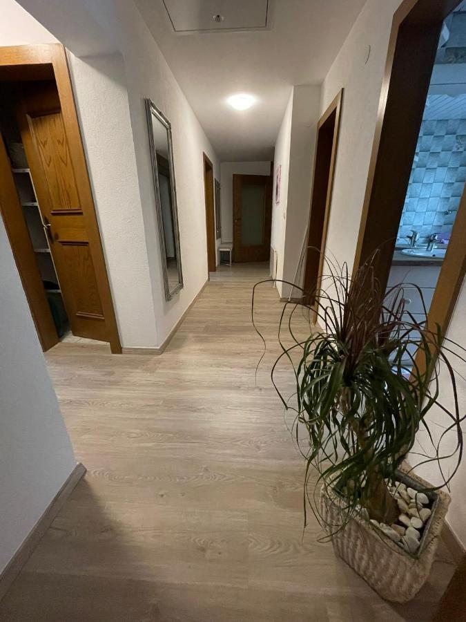 Apartment Wildalmblick Нойкирхен-ам-Гросфенедигер Экстерьер фото